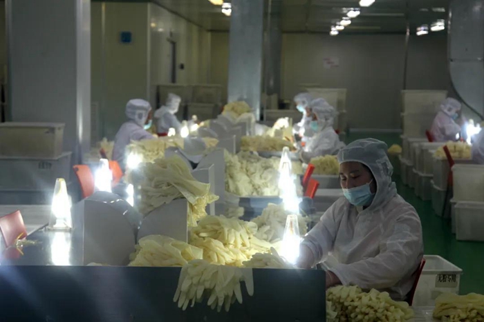 ������ʱ(�й�)�������ǲ�!