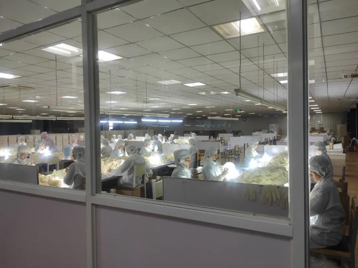 ������ʱ(�й�)�������ǲ�!