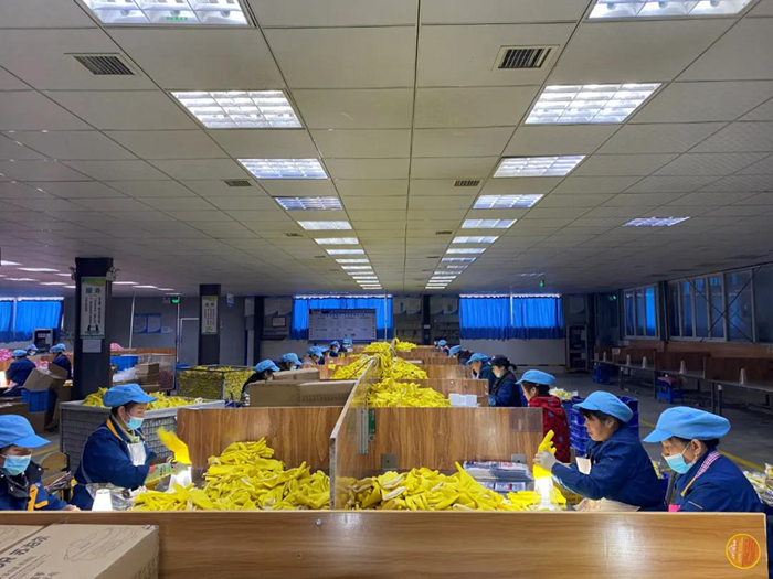 ������ʱ(�й�)�������ǲ�!