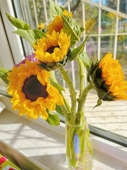 ������ʱ(�й�)�������ǲ�!