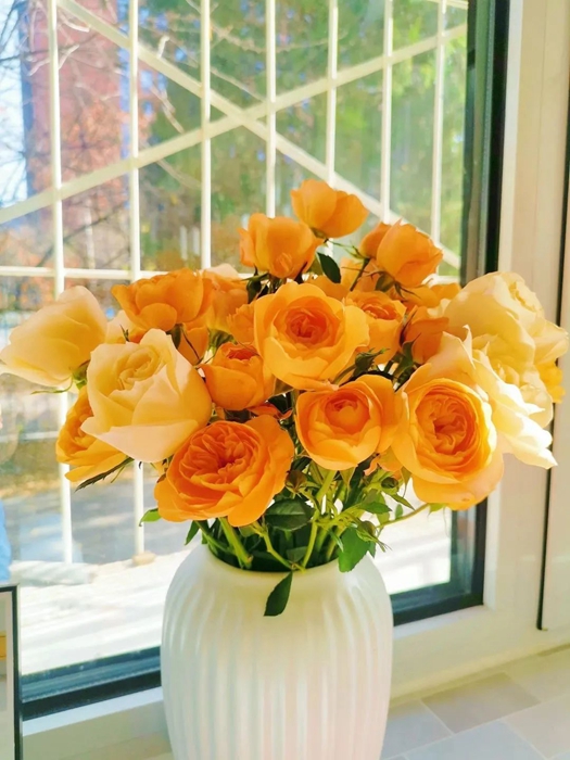 ������ʱ(�й�)�������ǲ�!