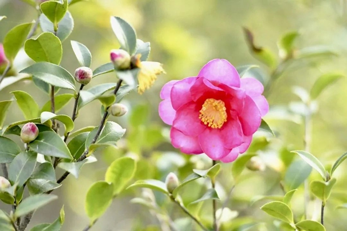 ������ʱ(�й�)�������ǲ�!