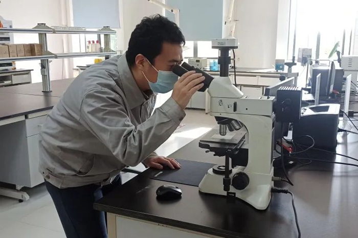 尊龙凯时(中国)人生就是搏!