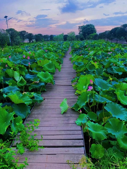 ������ʱ(�й�)�������ǲ�!