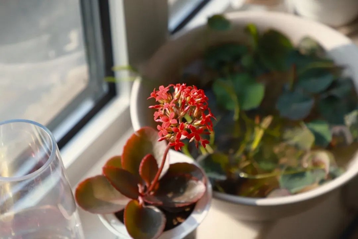 ������ʱ(�й�)�������ǲ�!