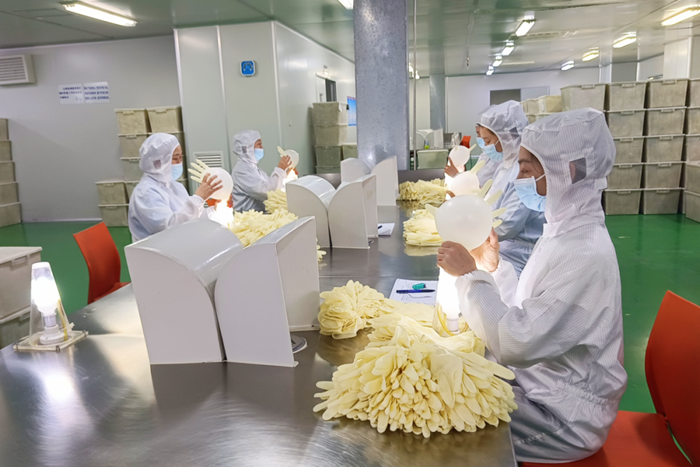 尊龙凯时(中国)人生就是搏!