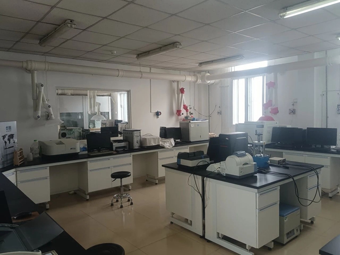 ×ðÁú¿Ê±(Öйú)ÈËÉú¾ÍÊDz«!